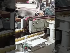 Longue épaisseur argentée de Diamond Polishing Wheel 2-19MM de longévité